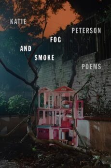 The Hound of the Baskervilles